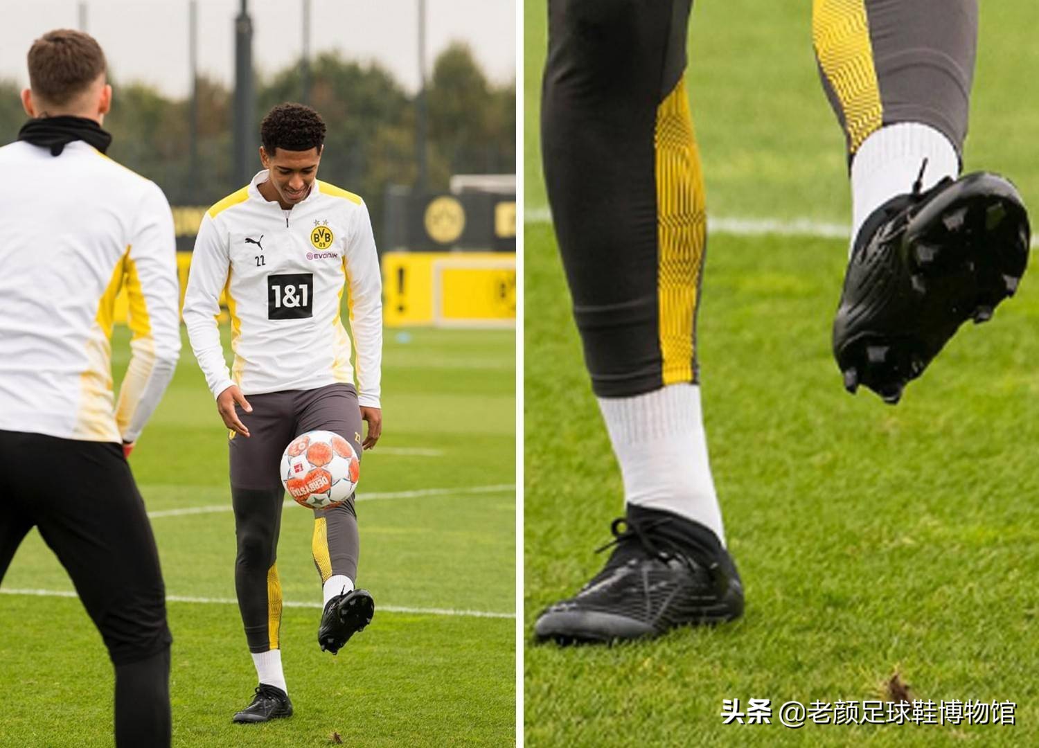 定性力量 定性力量